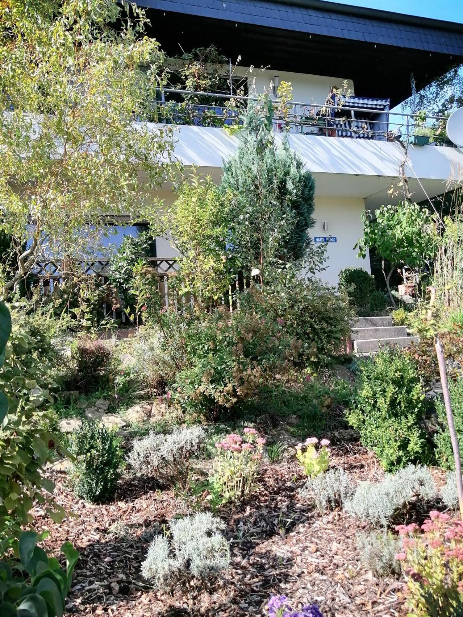 Haus Mohr - Ferienwohnung im Taunus Weilmunster Exterior foto